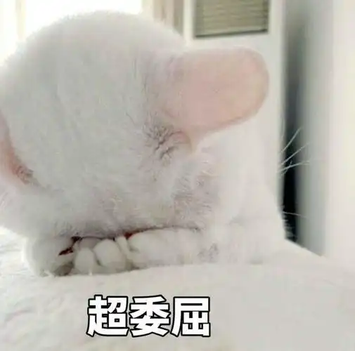 喵星人超委屈喵星人委屈表情