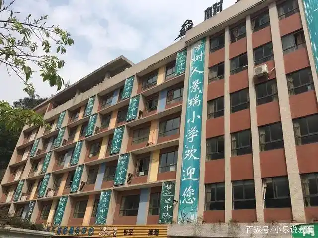 树人沙磁小学,是由国盛集团和国富沙磁公司向重庆市慈善总会捐资3000