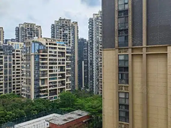 【多图】中海康城花园,大运租房,中海康城精装两房,家私家电全,诚心