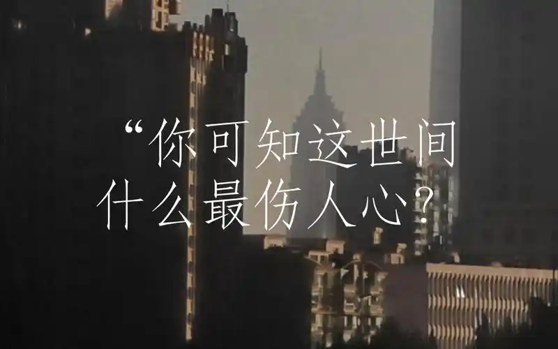 "你可知这世间什么最伤人心?"|青山茶