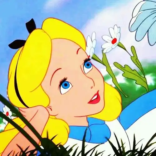 爱丽丝公主迪士尼