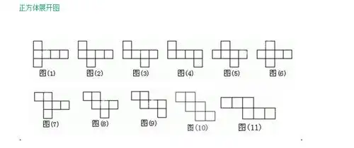 正方体的展开图,有几种请画出来