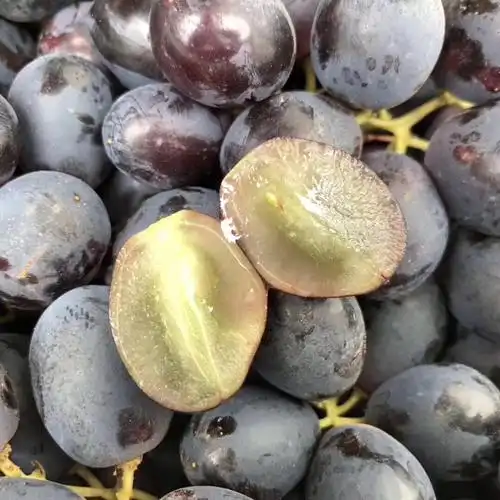 推荐澳洲蓝宝石无籽黑提果子新鲜硬度好果粉完全包裹脆甜可口黑皮里还