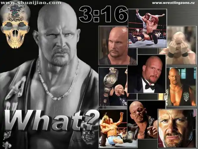 wwe史上最伟大的比赛therockvsstonecold