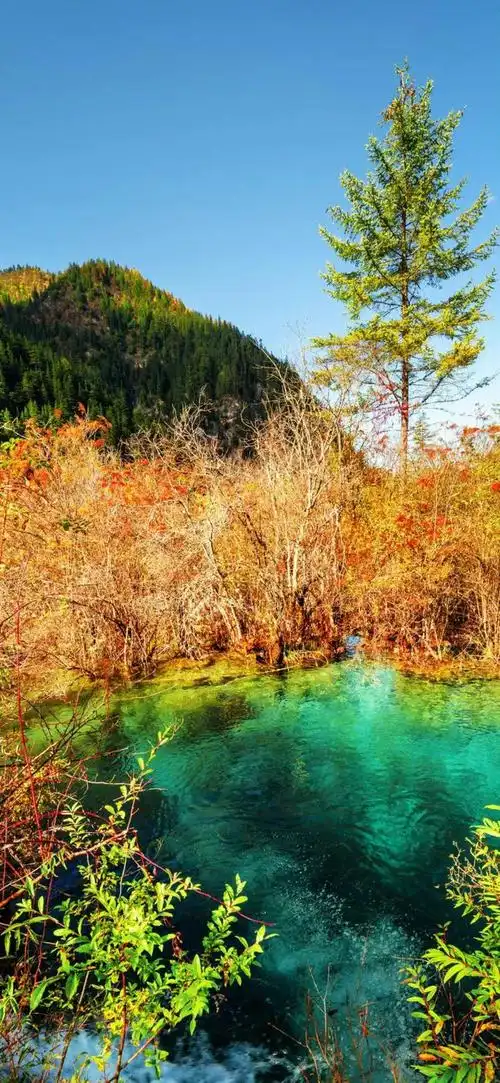 12张自然风景高清手机壁纸