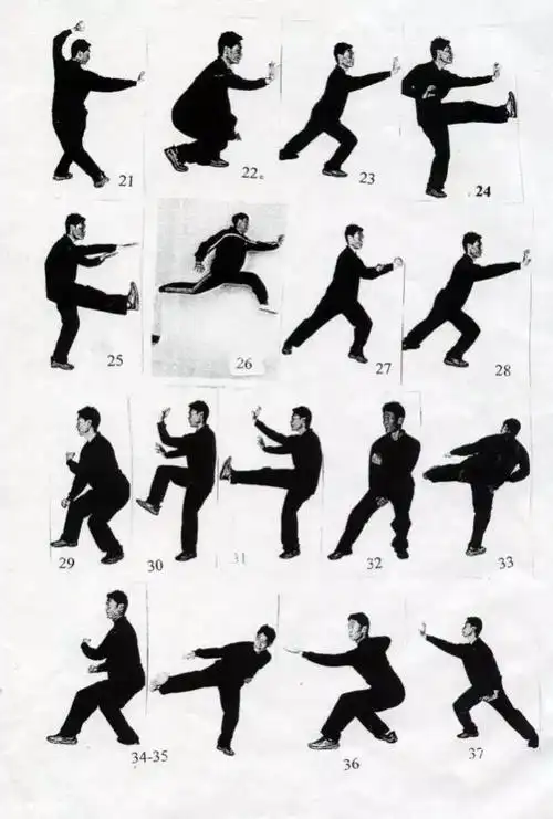 67心意六合拳龙形四把精解