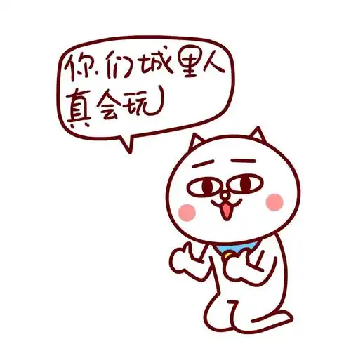 嗷大喵给跪了双手竖起大拇指表情你们城里人真会玩