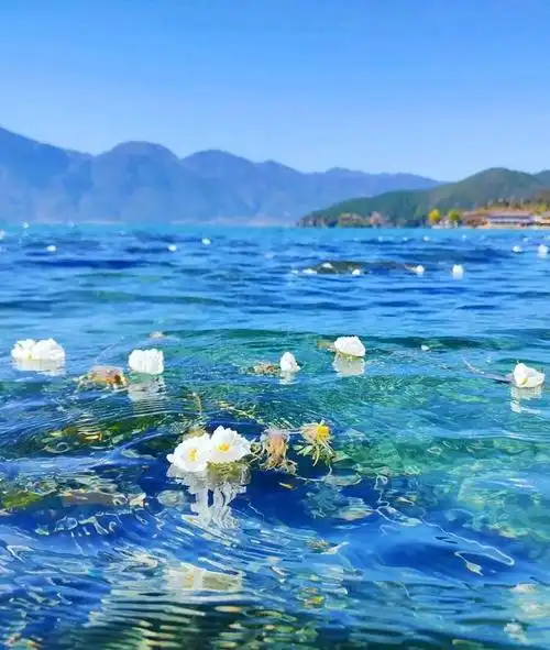 一个号称理想国的地方,西南最美风景云南,带你治愈一切