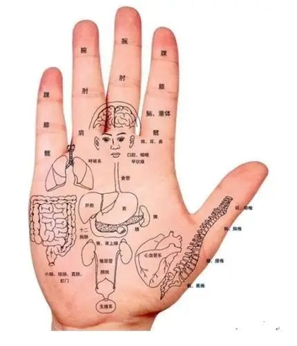 老人痴呆就常做手指保健操