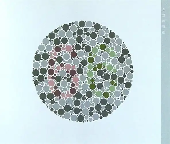 色盲检查色觉正版测试图谱辨色检测新版色弱耳鼻喉科学