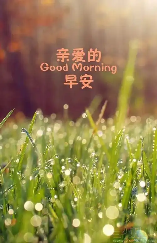 下雨天正能量早安心语