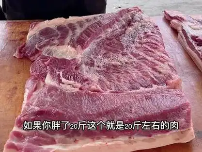 20斤猪肉长什么样 - 抖音