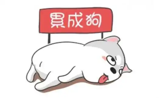 舔狗单身狗累成狗你是什么狗