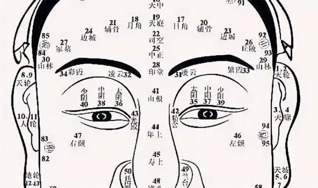 "富贵在天,富看鼻,贵看眼",长相与命运有关?面相学可靠吗?