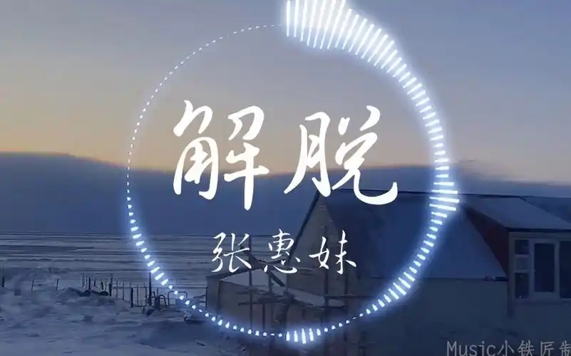 《解脱》"解脱 是肯承认这是个错 我不应该还不放手"| 音乐可视化