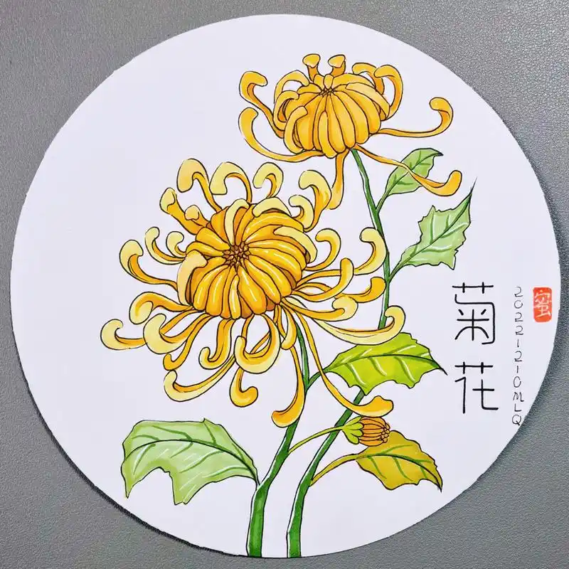 7-9岁创意美术|98菊花应该怎么画?