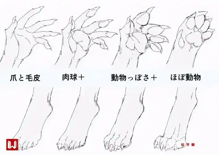 兽人怎么画教你如何绘画兽人的画法