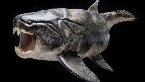 远古海洋霸主-邓氏鱼