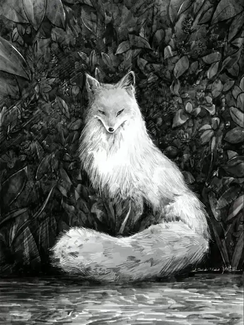 速写练习小狐狸绘画过程