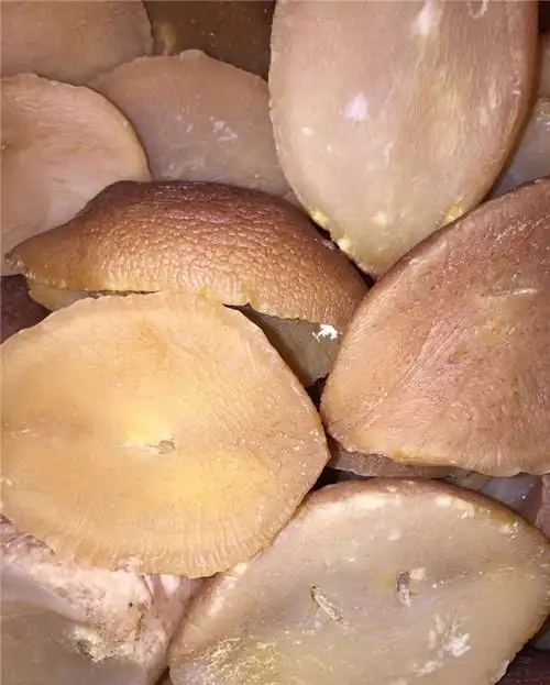 螺肉干货 螺头 响螺肉 整只 海螺肉 煲汤食材500g【图片 价格 品牌