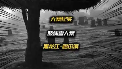 2008年黑龙江哈尔滨,十宗罪改编的东北肢体雪人案