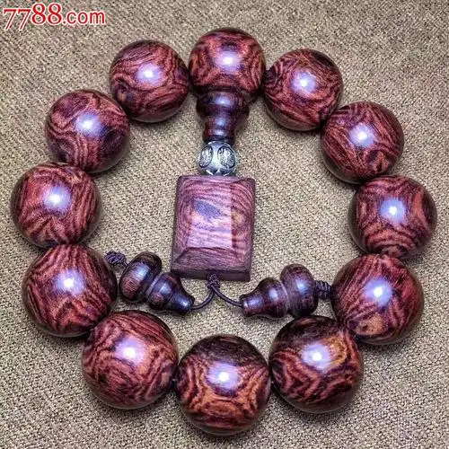 20海黄紫油梨对眼葡