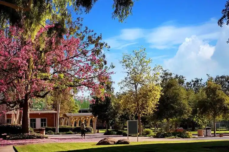 美国加州大学河滨分校2020年秋季访学项目报名通知