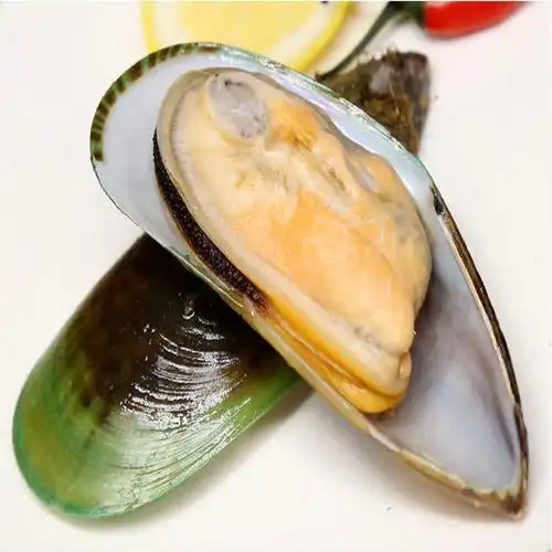 新西兰青口贝半壳冷冻干冰青口贝翡翠贻贝蓝口贝薄壳肉厚海鲜水产