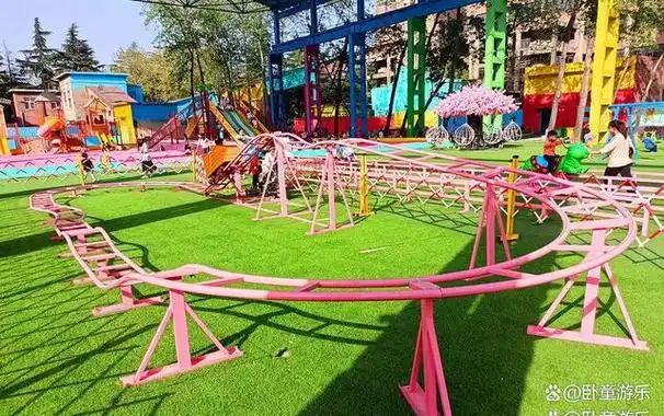 你认为户外游乐亲子过山车项目市场前景如何?