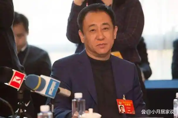 恒大许家印急了!私吞120亿美元,越南地产张美兰女首富