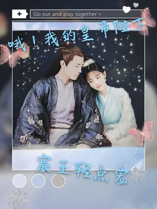 哦!我的皇帝陛下:宸王轻点宠