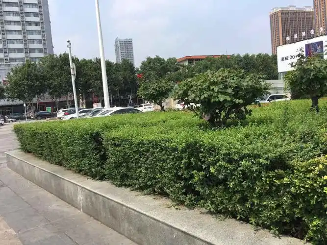 新华城市广场可短租可月付有钥匙铂金时代亿安天下城360