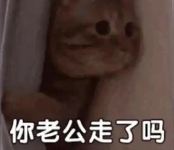 你老公走了么#表情包分享  #你老公走了吗  #套路男朋友