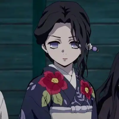 鬼灭之刃的珠世