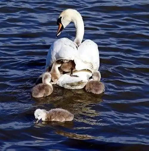 温馨瞬间 亲情时刻(精美图片100张) - 潇洒爽风 - 潇洒爽风的博客
