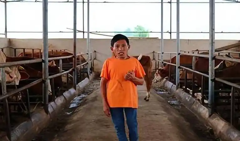 贵州残疾男子,因一头病牛年入千万,如今带领全村人致富