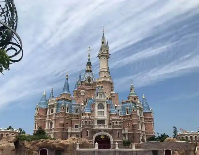 将迪士尼告上法院的女生!因为她,中国游客才允许带食物进迪士尼|王杰|