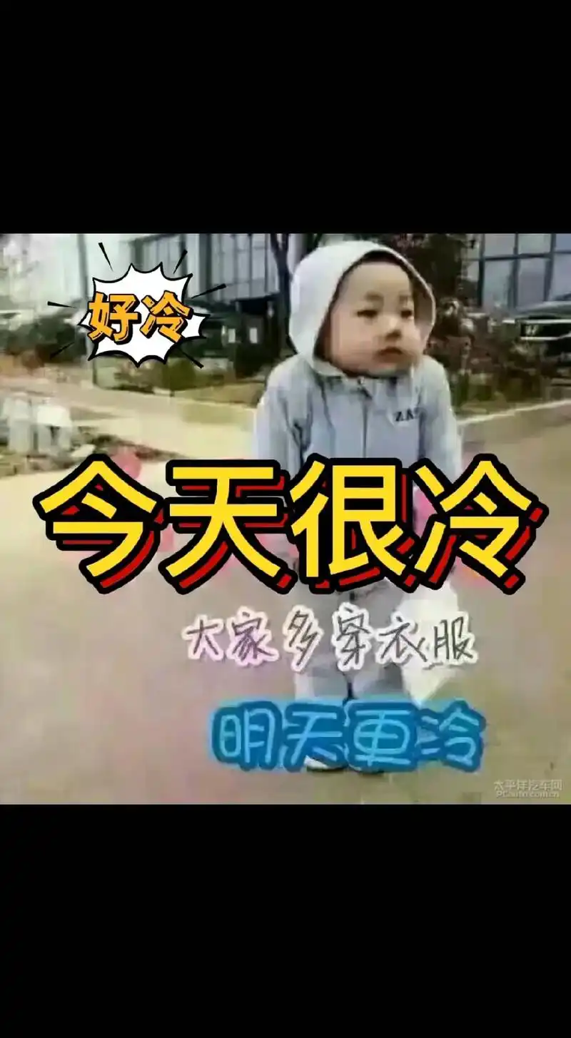 一夜之间突然冷了,凌乱了季节,不知是秋天走的太突然,还是冬天 - 抖音