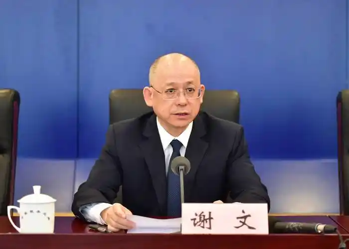 国家税务总局小微企业是留抵退税受益主体