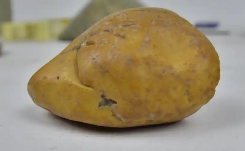 老寿山石带皮田黄