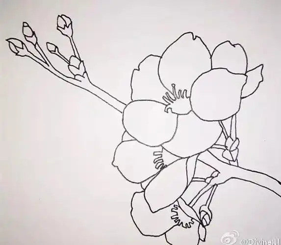 桃花简笔画:一步一步教你画桃花的教程,简单又好看,你想学吗?