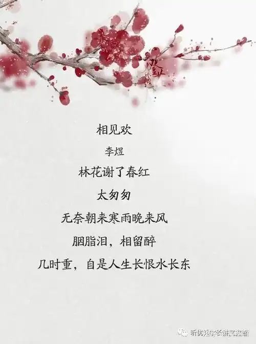 哲哥品宋词李煜相见欢林花谢了春红