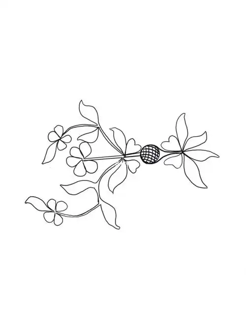 旗袍盘扣旗袍盘扣线稿免费送