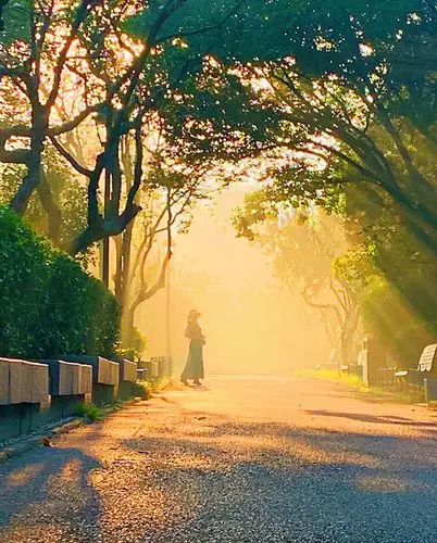 美好的一天从清晨开始.