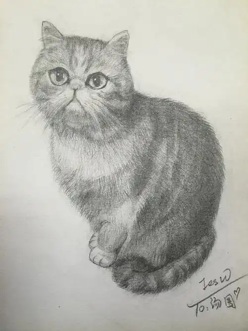 猫铅笔画第二弹