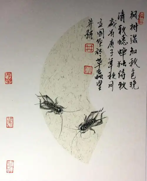 斗蛐蛐为何火了上千年 个中乐趣只有经历方能了解