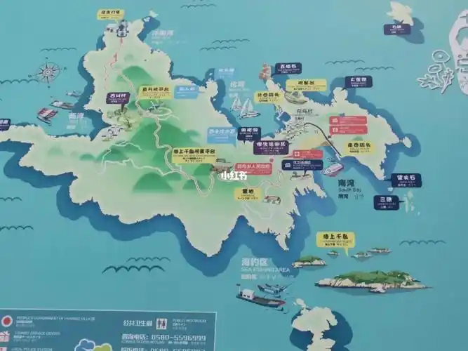 花鸟岛最新荧光海指南