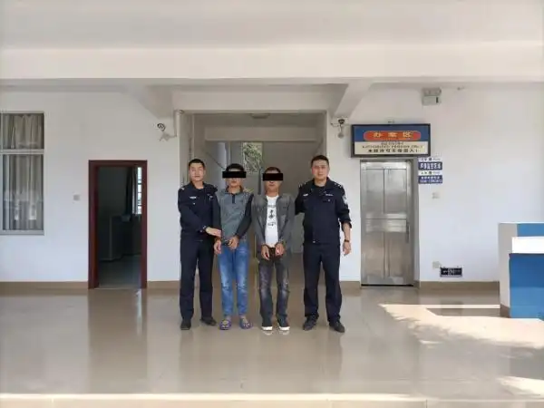 经儋州市公安局批准,海头海岸派出所依法对羊某华和羊某贵作出行政