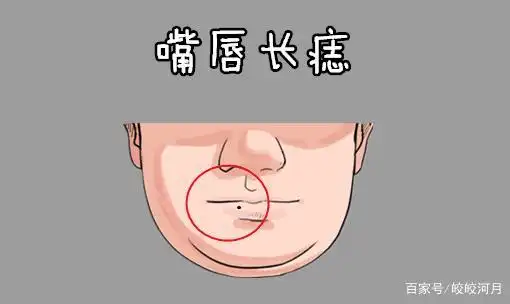 在相学当中,若是男人的嘴唇的位置处长有恶痣,则往往她们天生的口福不