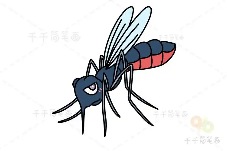 蚊子简笔画教程